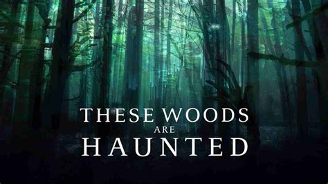 These woods are haunted season 4. Things To Know About These woods are haunted season 4. 